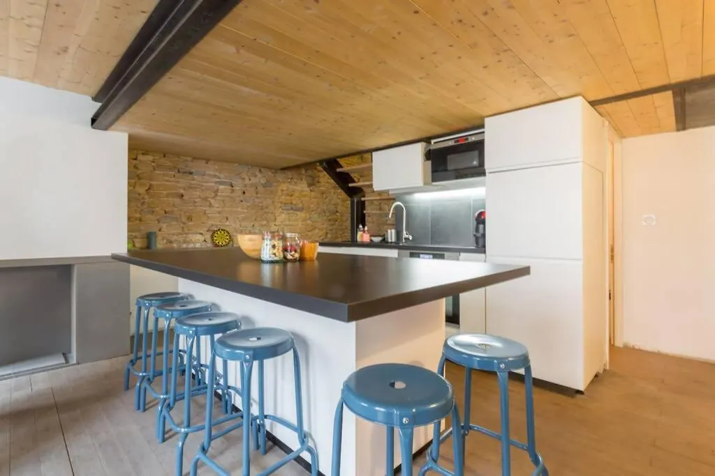 Apartmán Duplex le Vorace Lyon 0*,